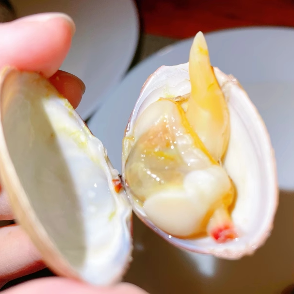 花甲≠黄蚬子 炒家常花甲前必知的贝类分类冷知识
