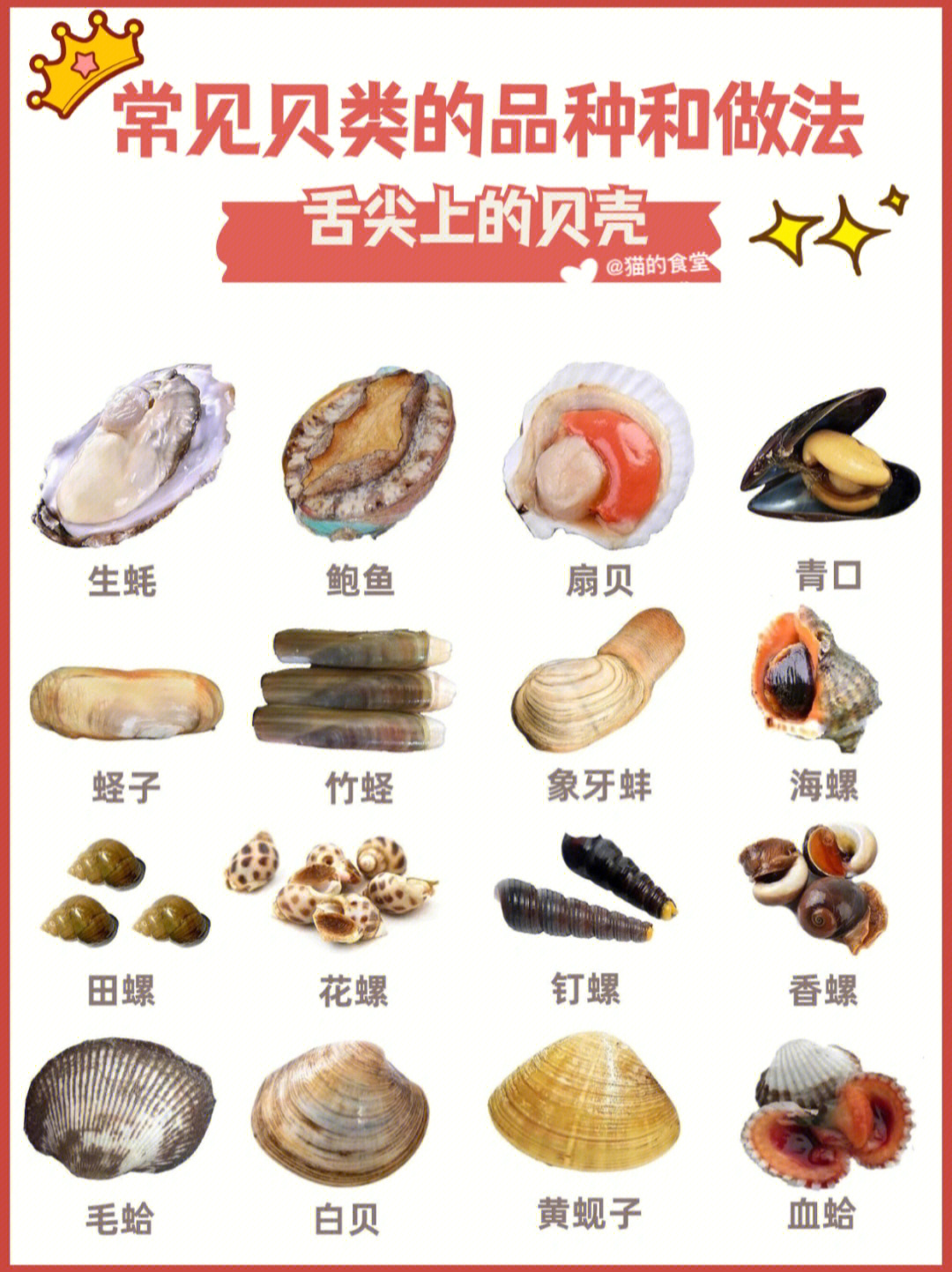 常见贝类的种类和做法营养美味价值高