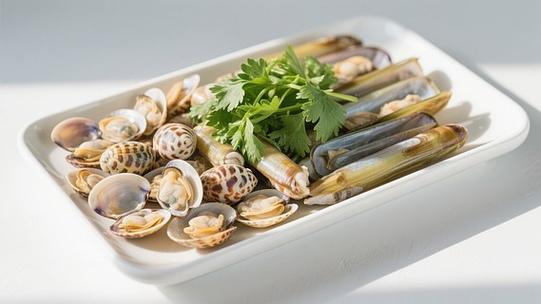 贝类拼盘白色长盘多彩贝类翠绿香菜明亮背景