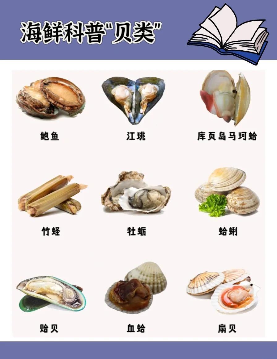 海鲜小课堂:贝类的秘密大揭秘